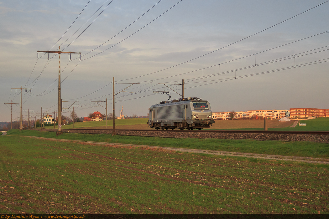 37055 der Akiem am Donnerstag, 20. November 2014 auf der Überführungsfahrt von Basel zu den BLS Werkstetten in Spiez.