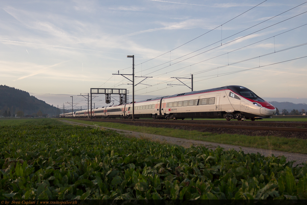 Die neuen SBB Triebzüge 503 011 und 503 012 wurden am Nachmittag des 02. November 2014 von Genf nach Bellinzona überführt. Sie werden vermutlich für Testfahrten am Gotthard oder in der Grenzregion eingesetzt. 503 012 trägt das Wappen und der Name des Kantons Tessin.