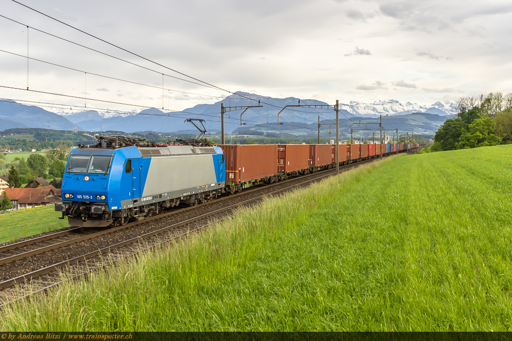 BLS_185_525_1