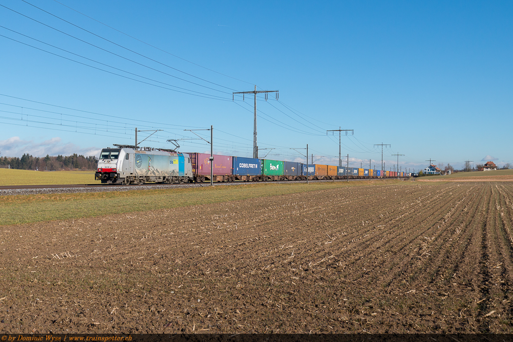 BLS_186_108_1