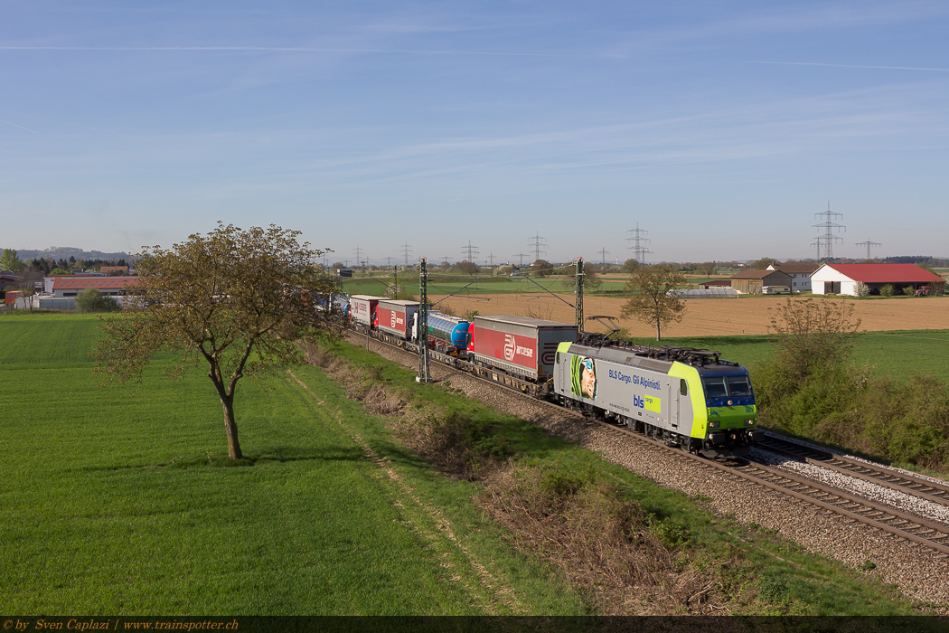 BLS_485_003_1