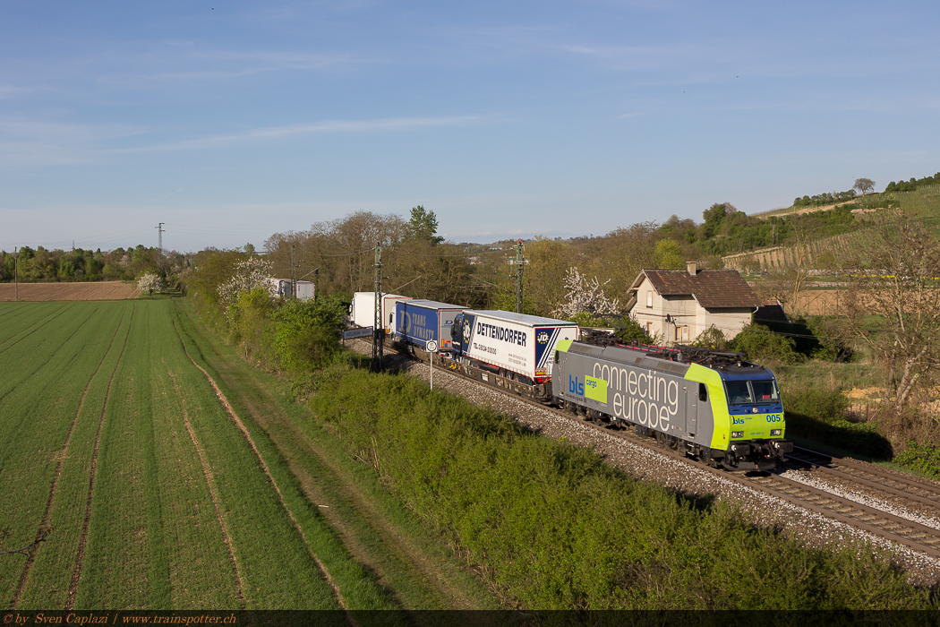 BLS_485_005_1