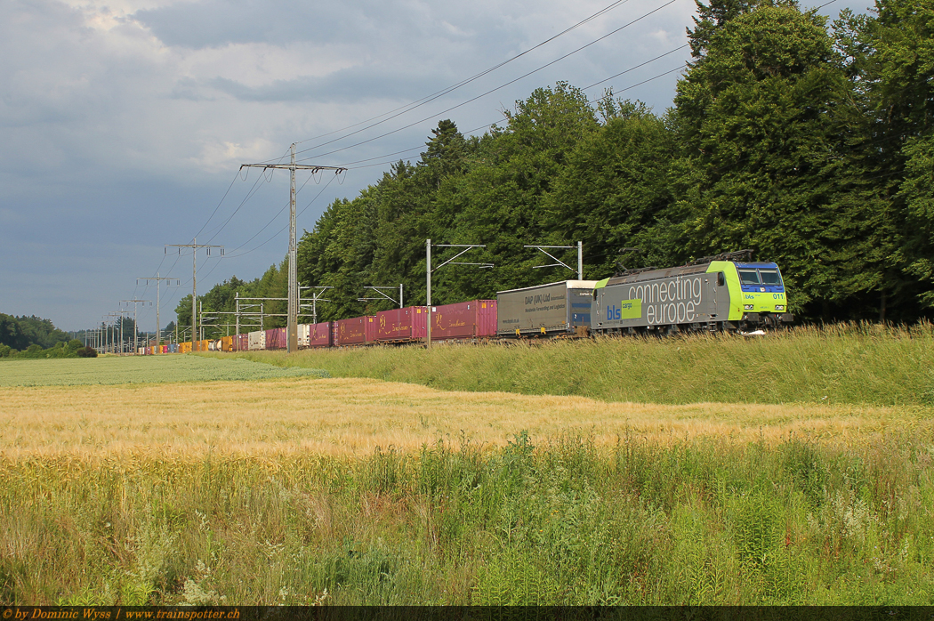 BLS_485_011_1