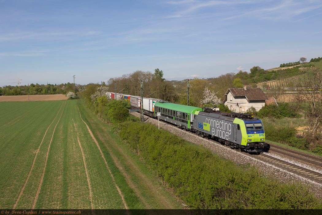 BLS_485_015_1