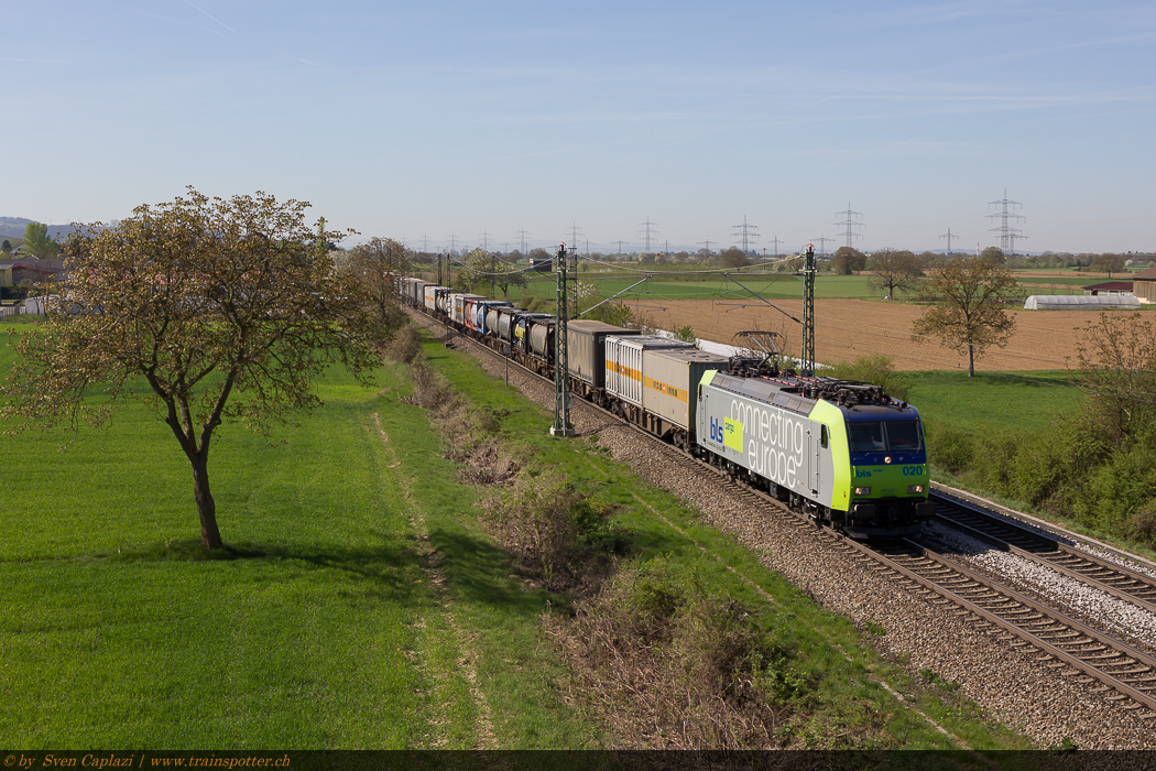 BLS_485_020_1