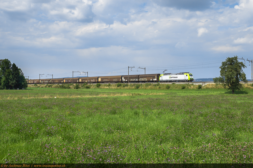 Die 185 549 der Transalpin Eisenbahn AG zog am 24. Juli 2014 den ScandFibre WLV-Zug der Relation ’’Dortmund – Modena/Grisignano di Zocco’’ von Dortmund nach Erstfeld.