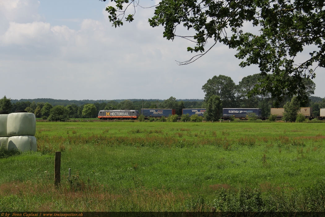 Class 241