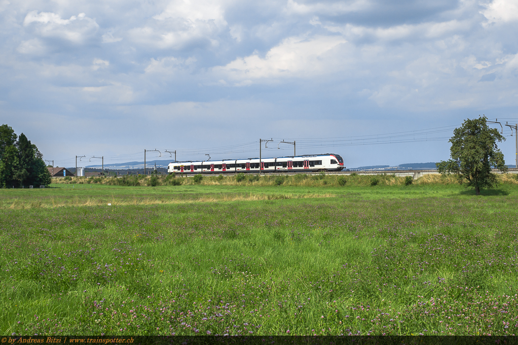 SBB FLIRT 523 032