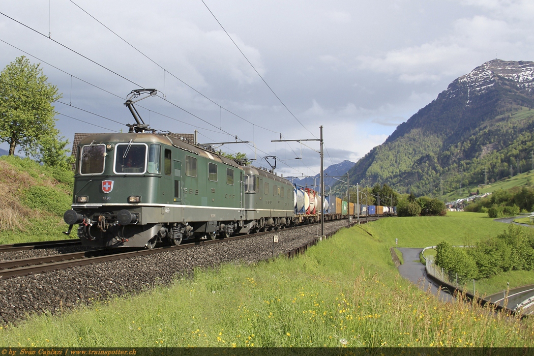 Re 4/4 II 11330, Re 6/6 11663 ’’Eglisau’’