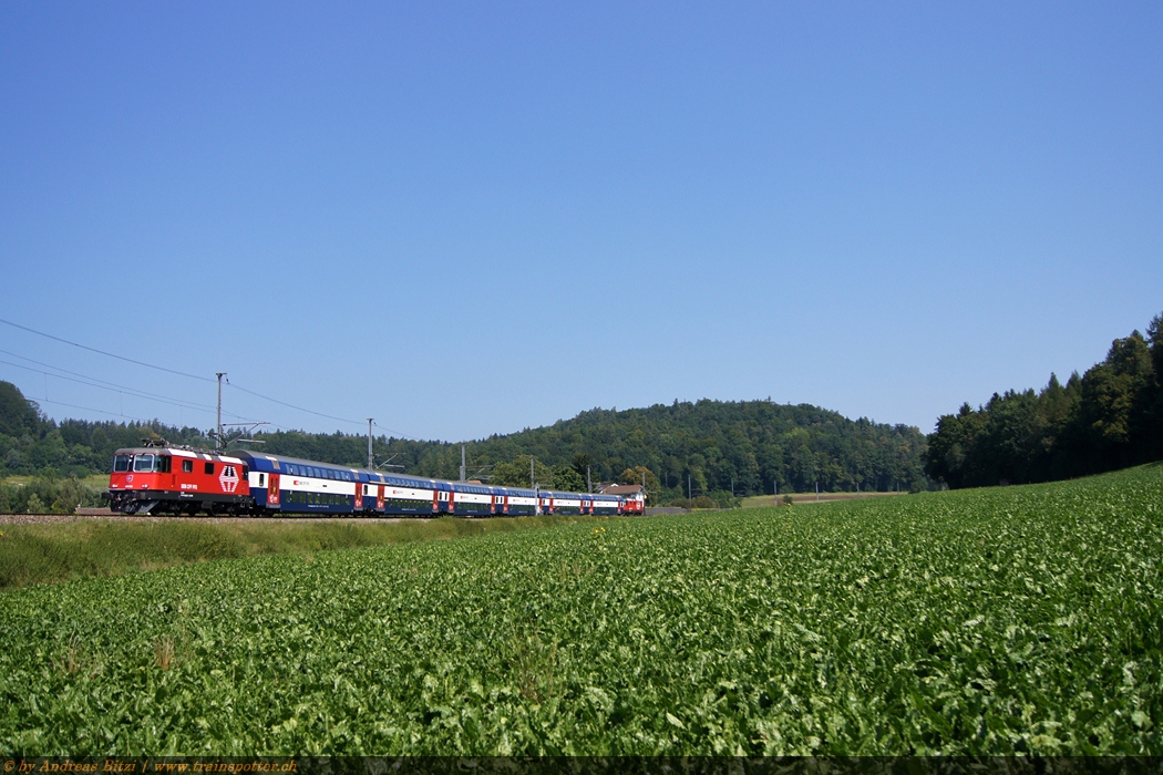 SBB_LION_Re_4_4_420_213-1_(Re_420_202-4)_1