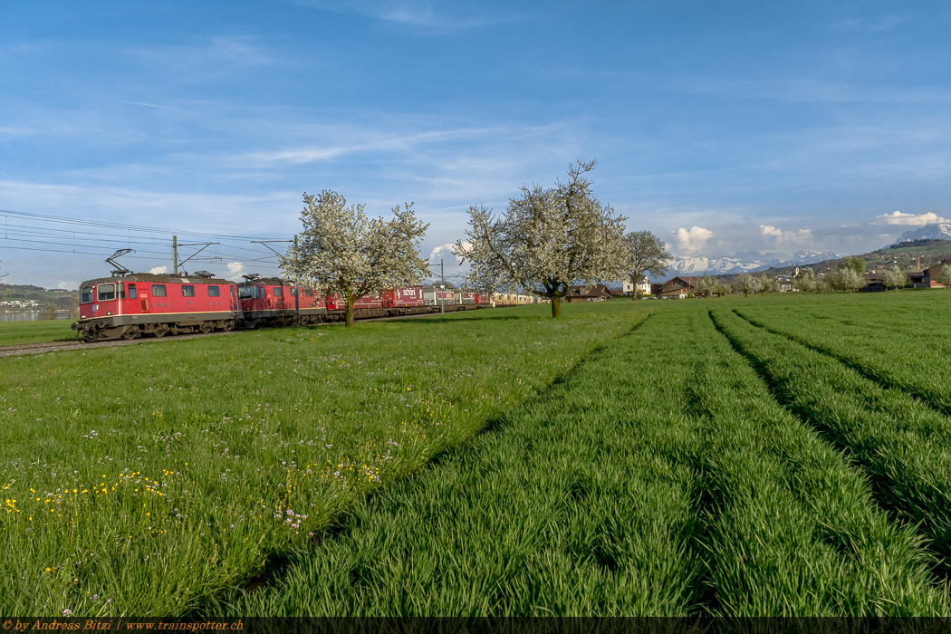Re 4/4 II 11319, Re 4/4 II 11323 mit dem Hupac UKV-Zug Rothenburg – Mendrisio
