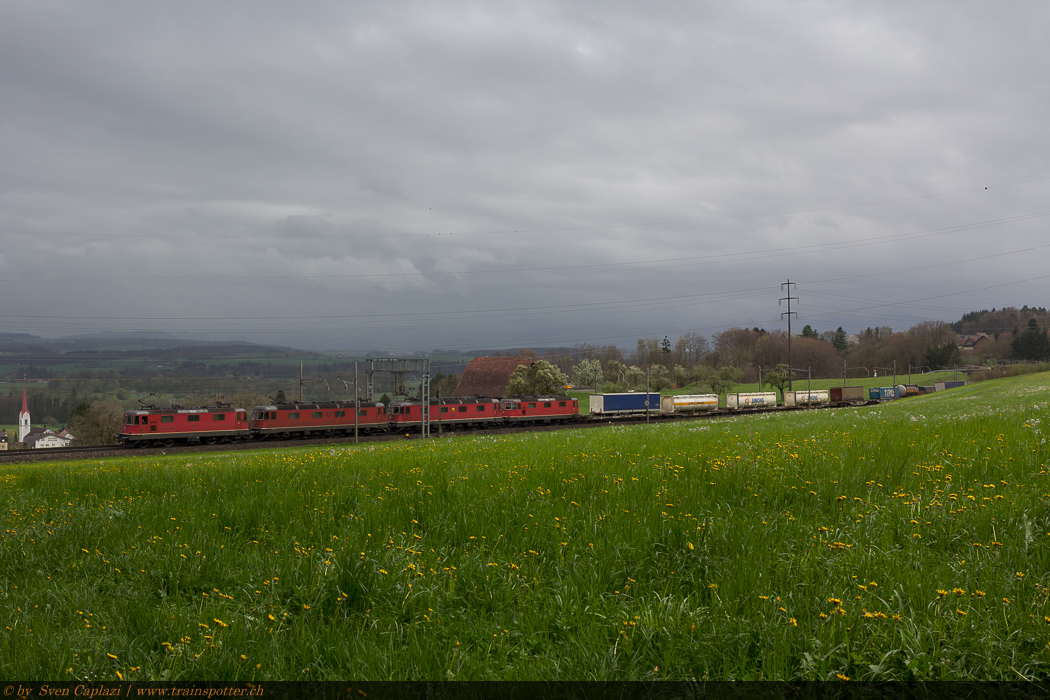 11333, 11683 ’’Amsteg-Silenen’’, 11677 ’’Neuhausen am Rheinfall’’ und 11349