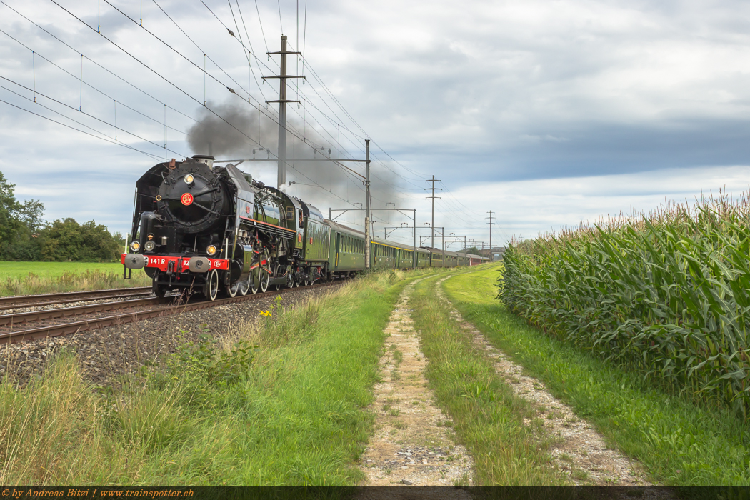 Am Samstag, 23. August 2014 unternahm die 141 R 1244 des Mikado-Clubs eine Rundfahrt von Brugg über Schaffhausen nach Stein am Rhein. Nach einem längeren Mittagshalt in Stein am Rhein verkehrte sie über Romanshorn wieder zurück nach Brugg.