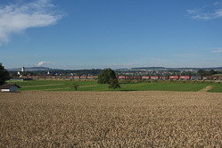45000_2